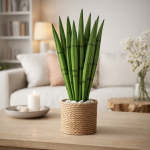 Műanyag szúrható anyósnyelv 47cm