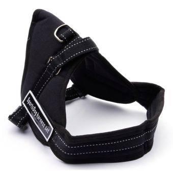 KUTYAHÁM EXTRA KÉNYELMES SPORT KIALAKÍTÁS / SPORTS DOG HARNESS SET /