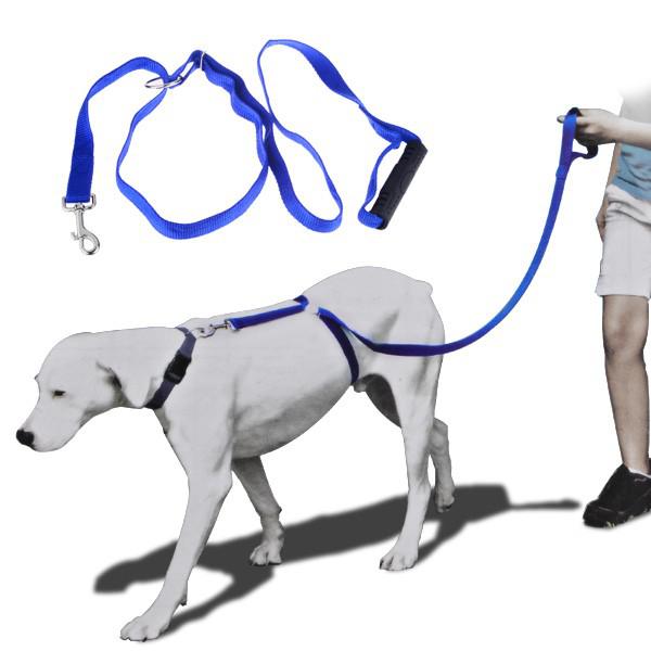 KUTYA KIKÉPZŐHÁM /THE INSTANT TRAINER LEASH/