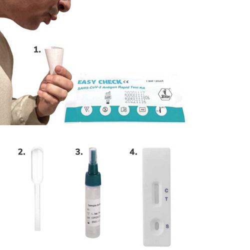 Antigén COVID teszt EASY CHECK COVID-19 Antigen-Spucktest