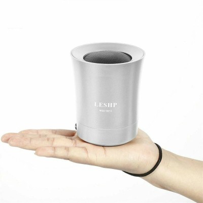 Daniu Mini Bluetooth hangszóró Wsa-8612 Daniu