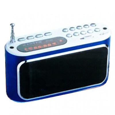 Hordozható rádió hangszóró WSTER WS-289 (USB / TF)