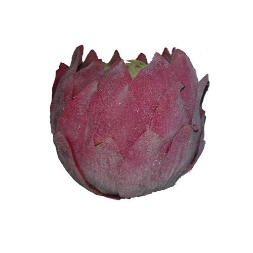 Mű Protea virágfej