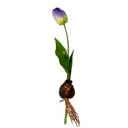 Hagymás művirág tulipán 20cm