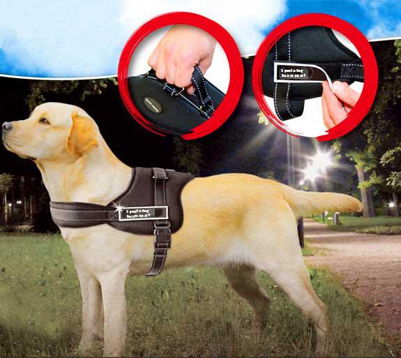 KUTYAHÁM EXTRA KÉNYELMES SPORT KIALAKÍTÁS / SPORTS DOG HARNESS SET /