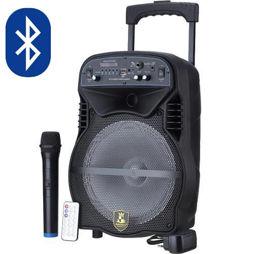 Hordozható Karaoke hangfal szett vezeték nélküli mikrofonnal  , 1200W 10"	