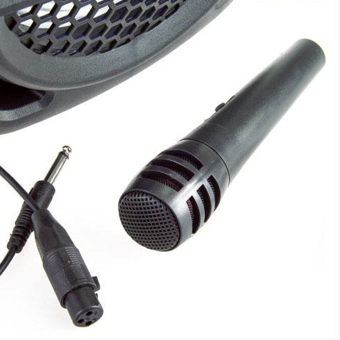 Vezeték nélküli hordozható hangszóró mikrofonnal 8" CH-829