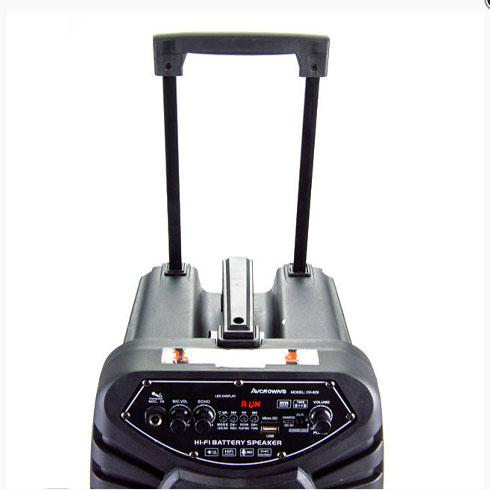 Vezeték nélküli hordozható hangszóró mikrofonnal 8" CH-829