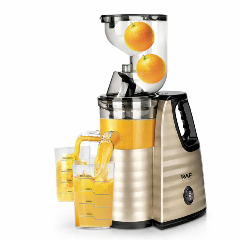 Professzionális Gyümölcsfacsaró Slow Juicer – Lassú Préselésű  (250W, 90 RPM) - RAF R.2838